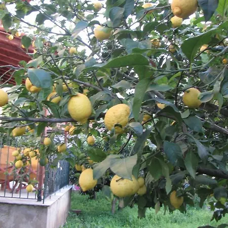 Rafaela House Apartamento *