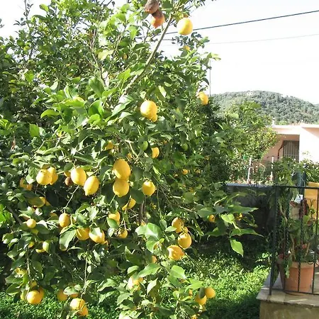 Apartmán Rafaela House *