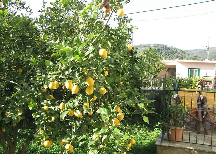 Apartament Rafaela House *